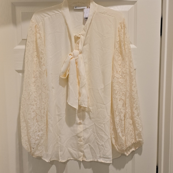 Elegant Cream Lace Sleeve Blouse - Picture 2 of 8